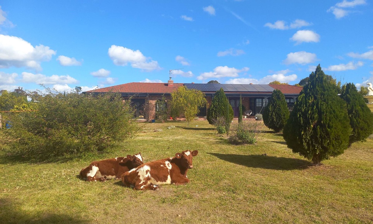 Benarkin North Cabin | bwdghwufgdhweliufeuae