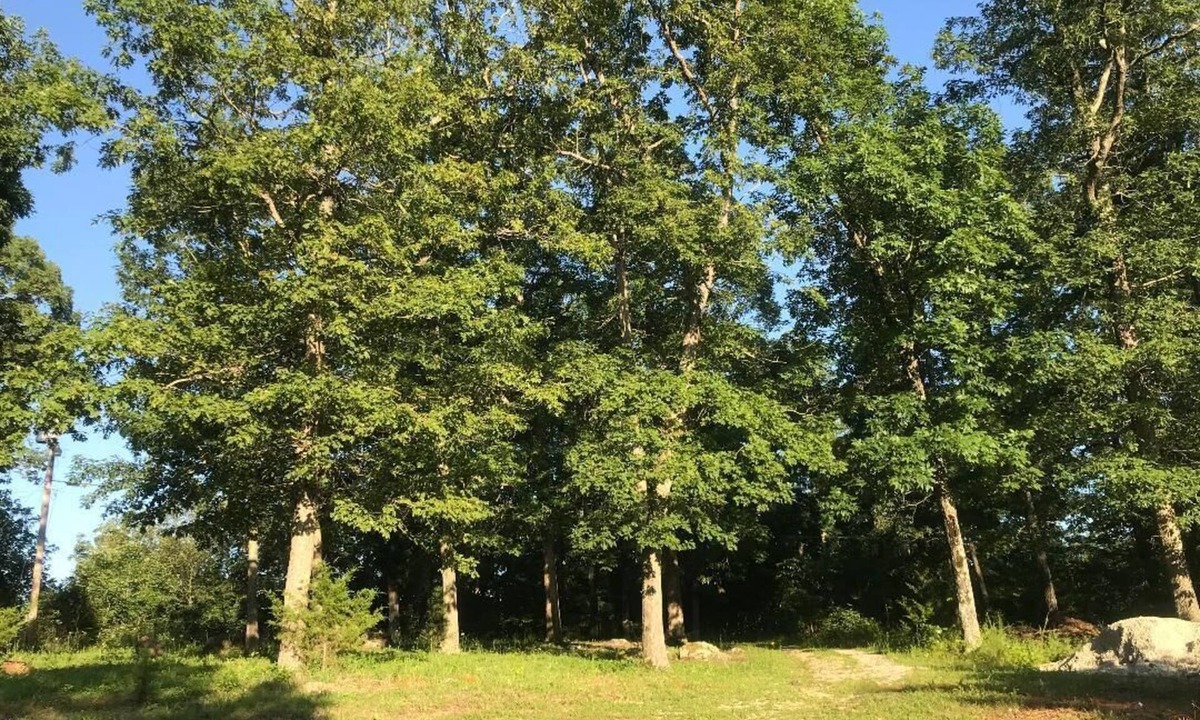 Ironton RV Rental | By Everything, Away from it all! Wi-Fi camping in Iron County