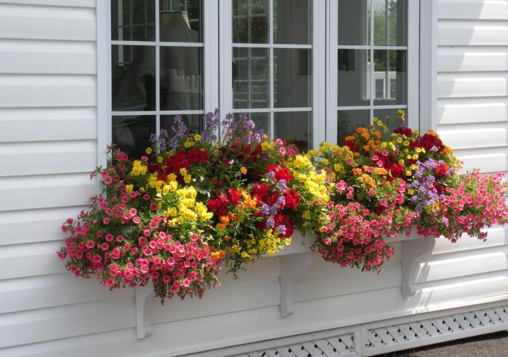 Grand Falls Bed & Breakfast | Côté's Bed & Breakfast