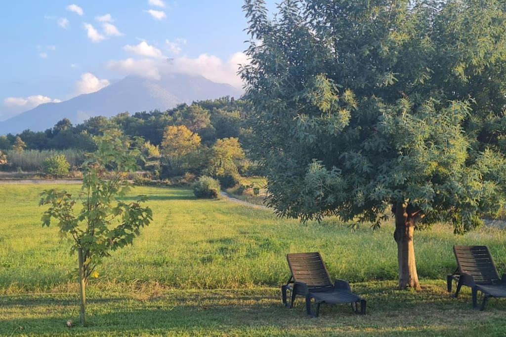 Prades House | Ca la mimi, maison 8 personnes vue sur le mont Canigó
