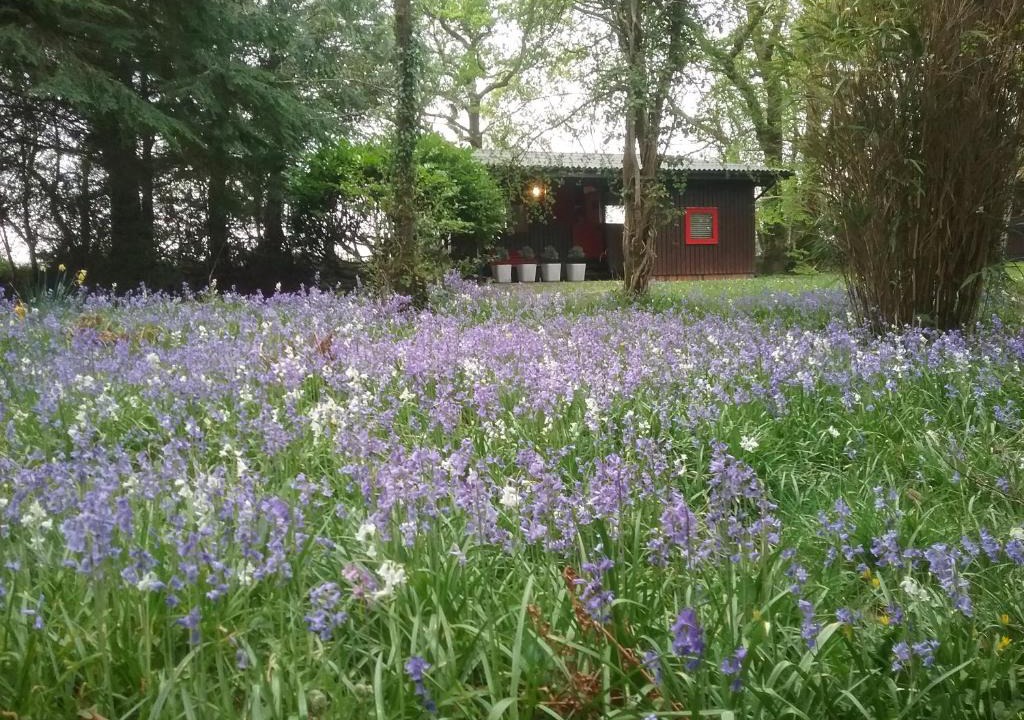 Cenarth Ski Chalet | Caban Cwtch