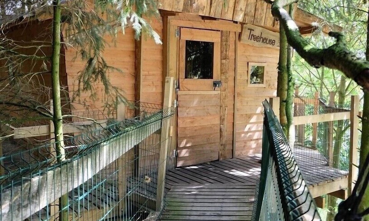 Saint-Thomas-de-Courceriers House | Cabane dans les Arbres - Tree House
