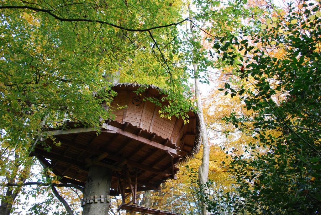 La Chaussee Bed & Breakfast | Cabane Clair Soleil