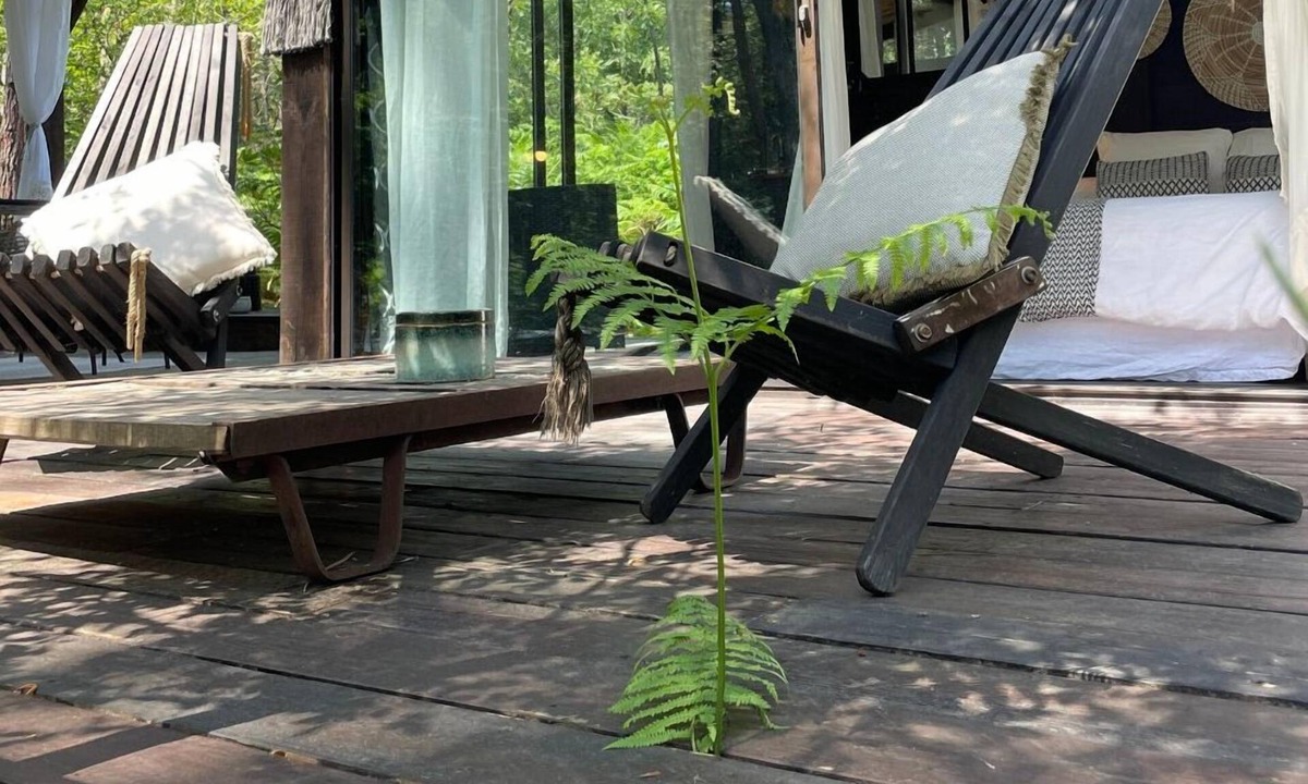 Origne Cabin | Cabane Dans les Arbres et Spa au sud Gironde