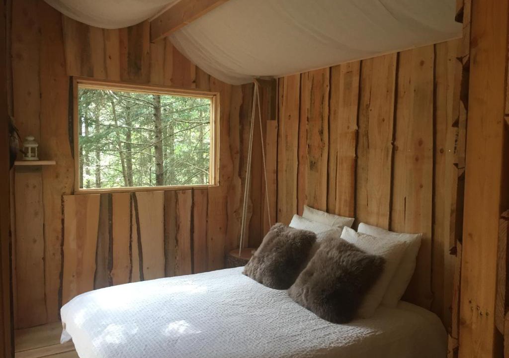 Chatel-Guyon Other | cabane de l'Ecureuil