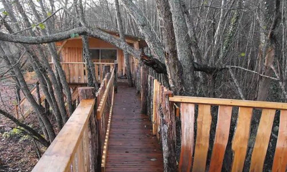 Allons Bed & Breakfast | Cabane des cerfs