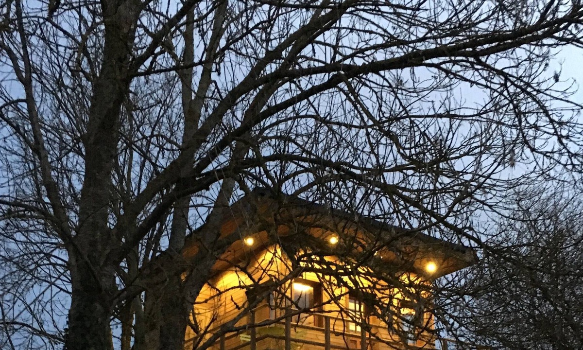 Vert Cabin | Cabane perchee - Sejour au Vert