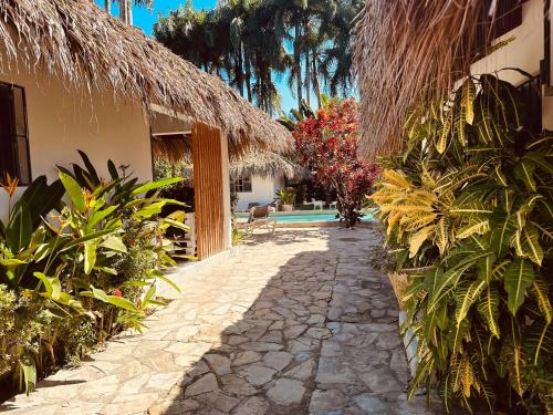 ProCab Apartment | Cabarete Breeze