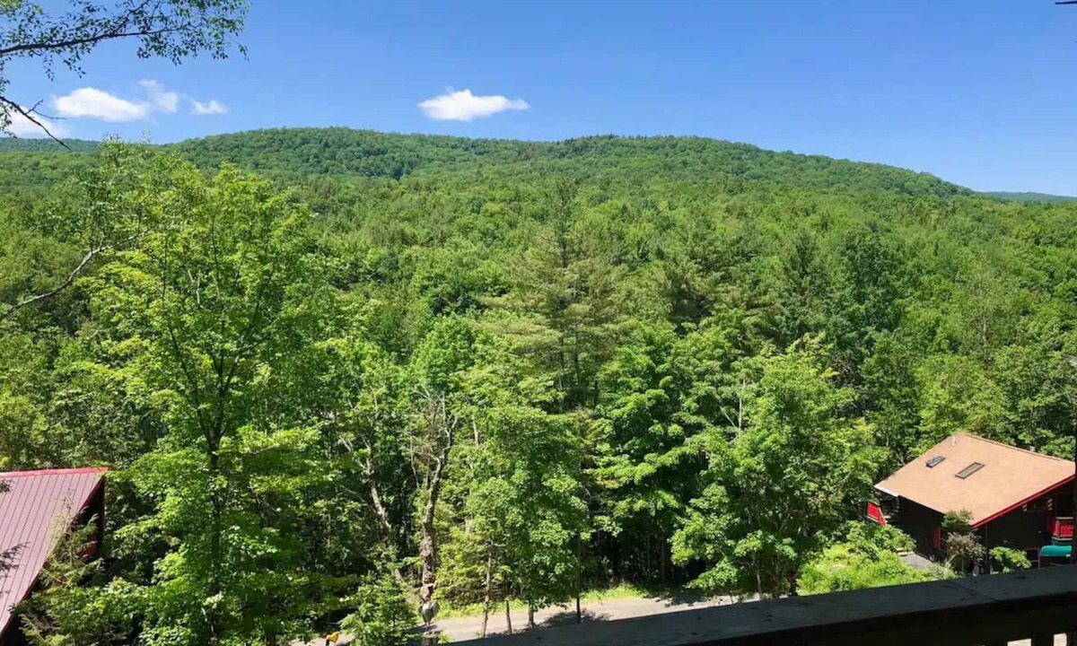 Waterbury Cabin | Cabin 3 - Austrian chalet