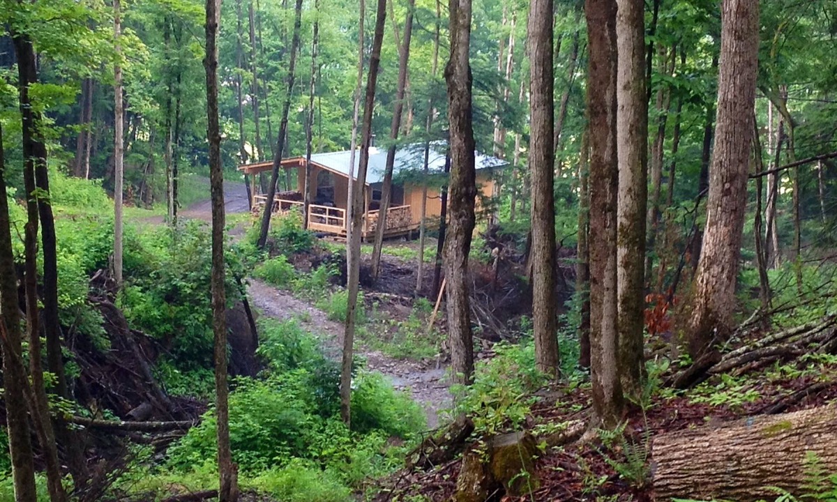 Dalton Cabin | Cabin Creek Getaway by Letchworth State Park - Waterfalls & Woods!