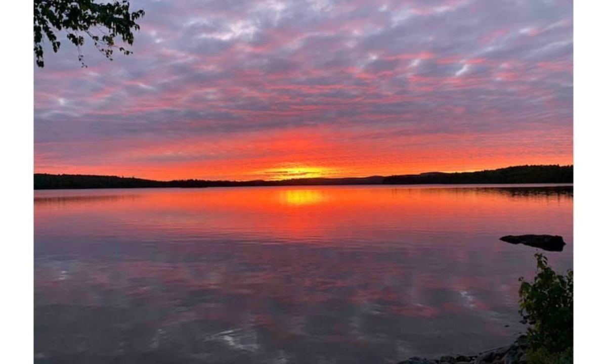 Beddington Cabin | Cabin in the Pines