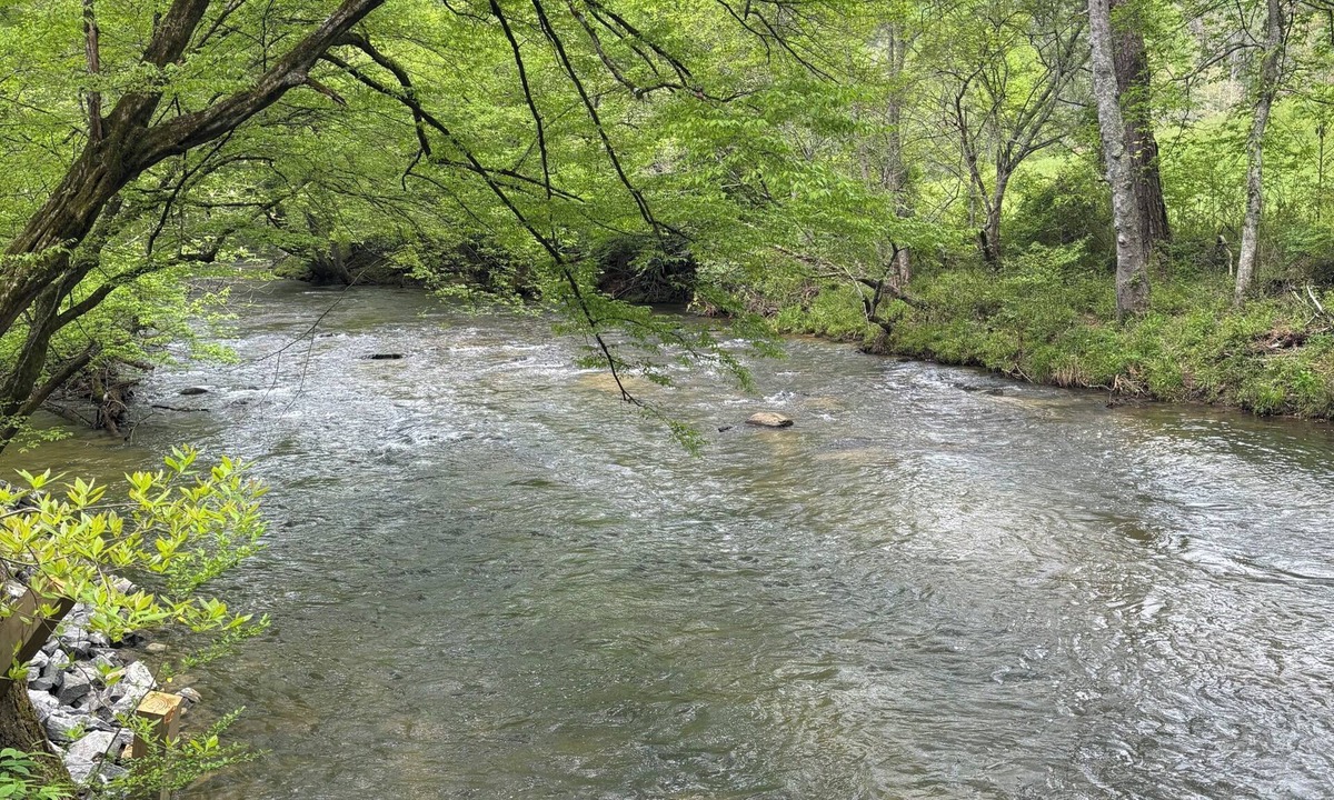 Cashes Valley Cabin | Cabin is located right on Creek, 2-bedroom cabin in charming Blue Ridge.