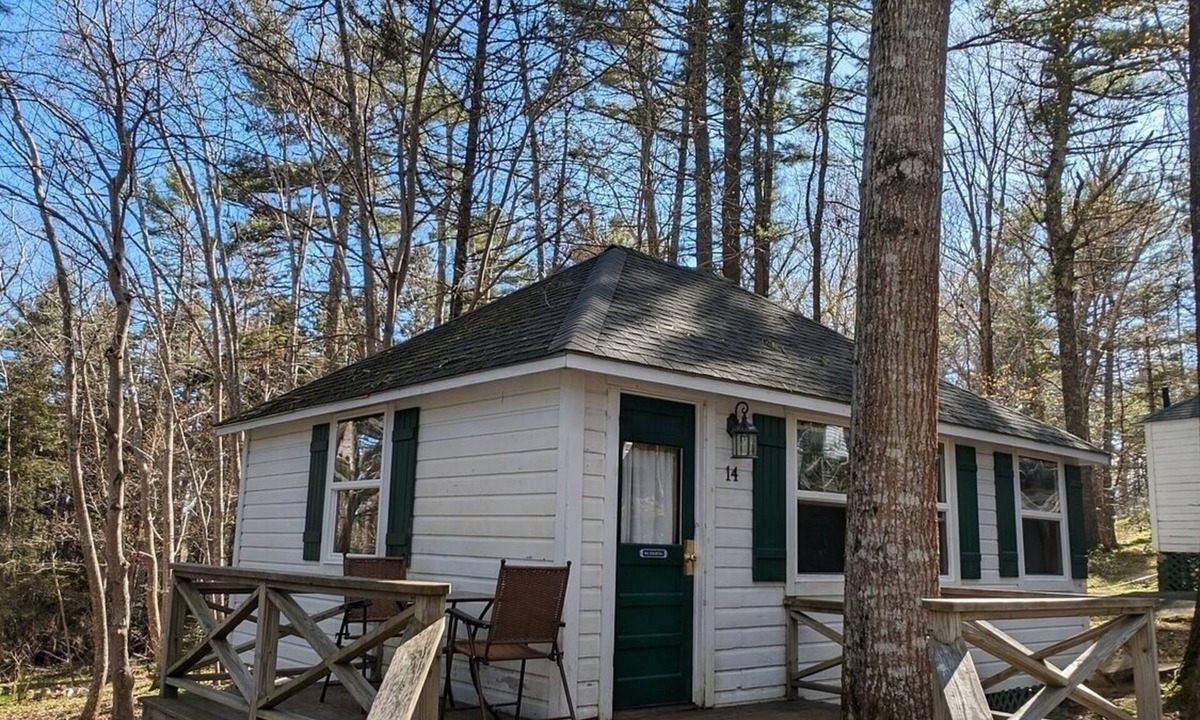 Bar Harbor Cabin | Cabin surrounded by Lustrous Pine trees Cabin 14