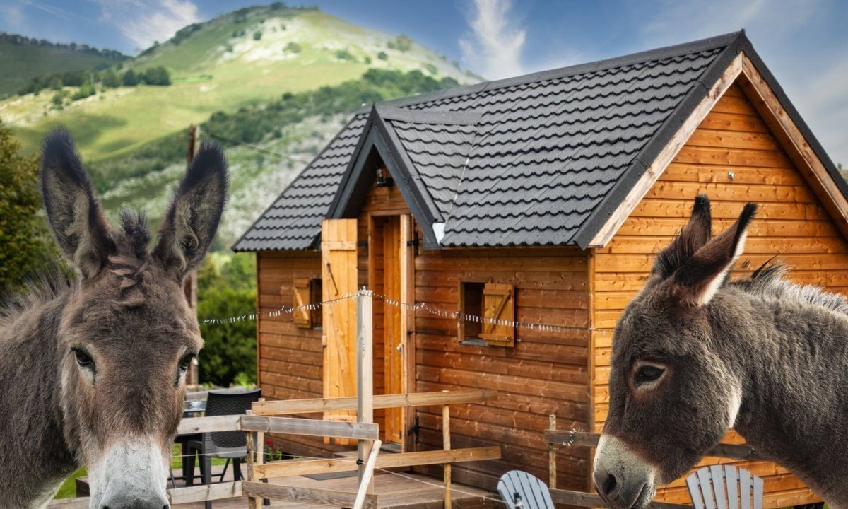 Segus Cabin | Cabin view on the mountain