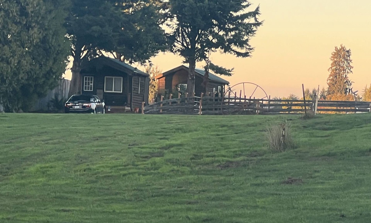 Aurora Cabin | Cabin with a View, pet friendly pets only