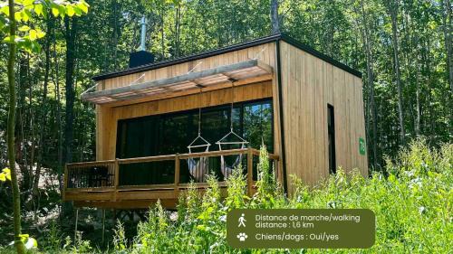 Eastman House | Cabin Zoobox 76