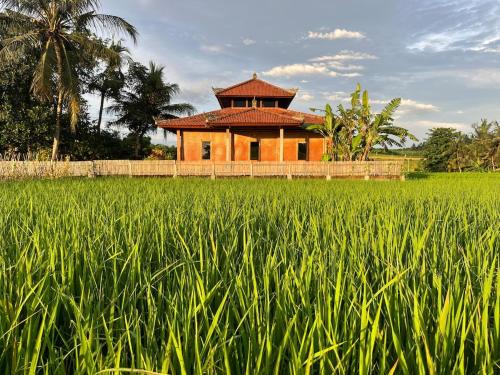 Kerambitan Apartment | Cacao Bamboo House