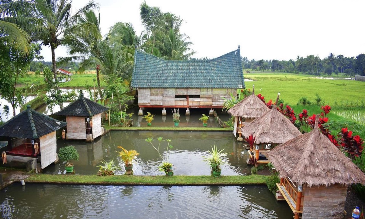 Kecamatan Pringgasela Bed & Breakfast | Cahaya Tetebatu Inn