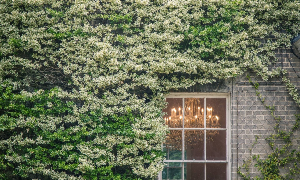 Norwich Hotel | Caistor Hall