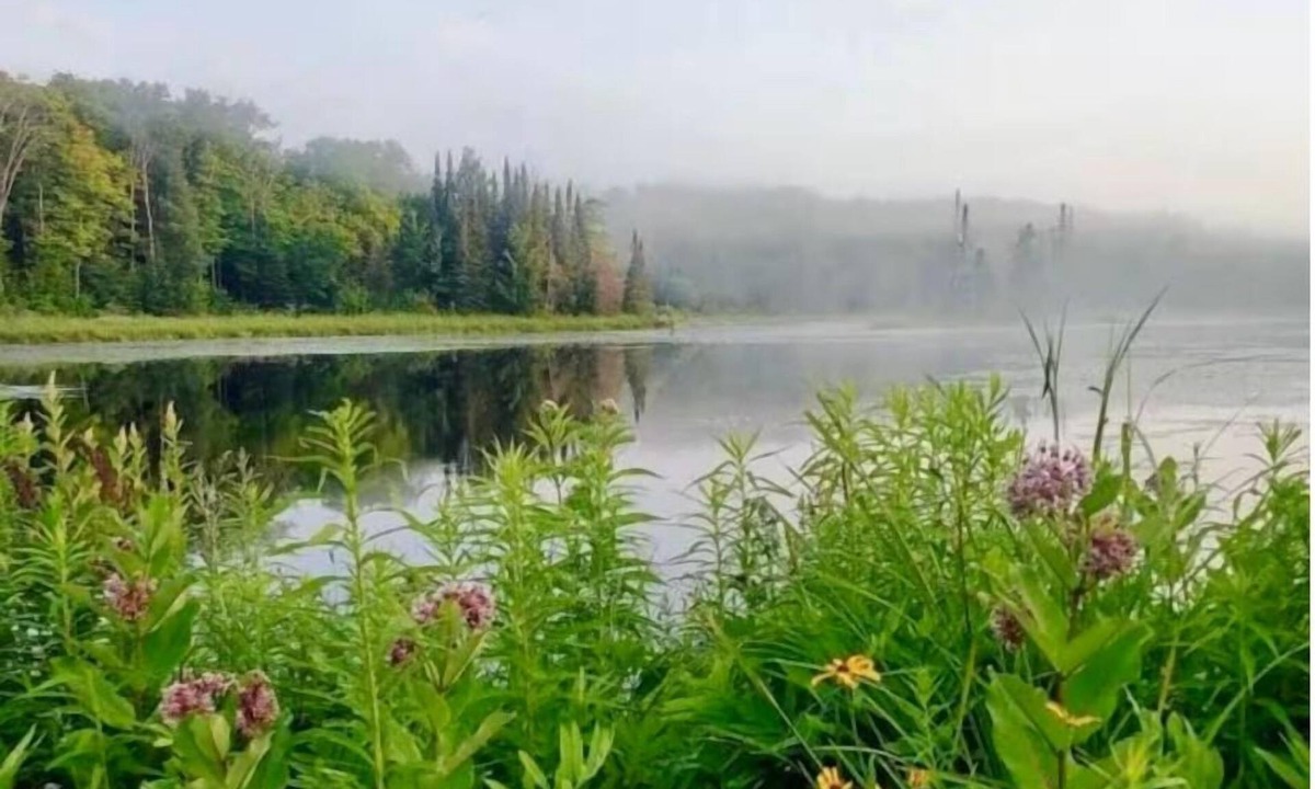 Minden Hills House | Cajun Cabin Private Nature Resort