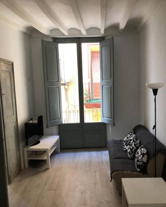 Olot Apartment | Cal Mestre- Olot