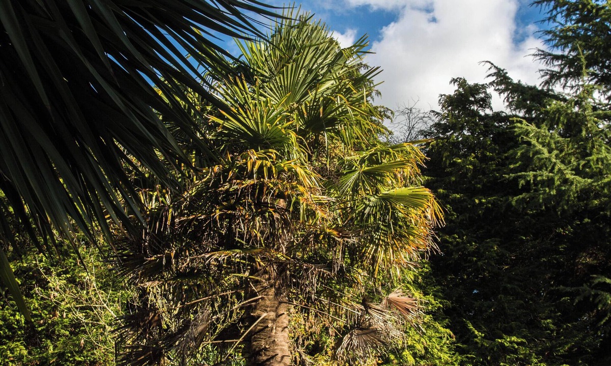 Willesborough Apartment | Calm Private Annex Ideal to Work, Rest & Explore