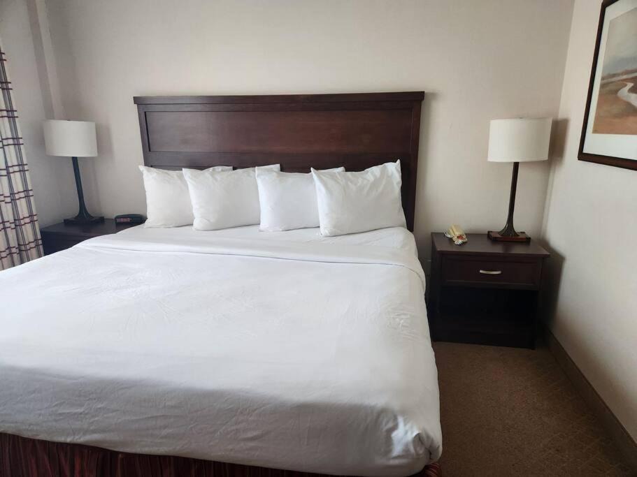 Calgary Apartment | Calmdown Relax & enjoy your stay