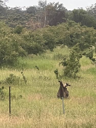 Mia Mia Villa | Campaspe Valley View Farm Stay