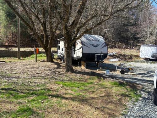 Todd Other | Camper on the New River in Todd, NC