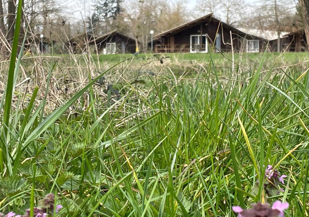 Saint-Didier-sur-Chalaronne Other | CAMPING DE LA CHALARONNE