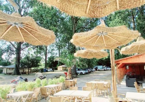 Saint-Rambert-d'Albon Other | Camping Bois et Toilés