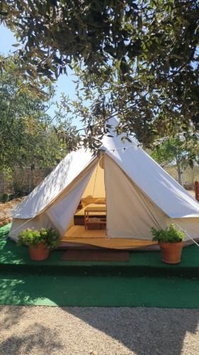 Cervera del Maestrat Other | Camping Ciudad del Ciclismo - Glamping