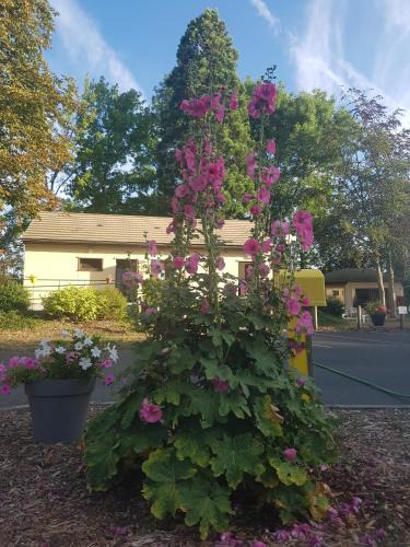 Chateauroux Other | Camping le Rochat Belle Isle