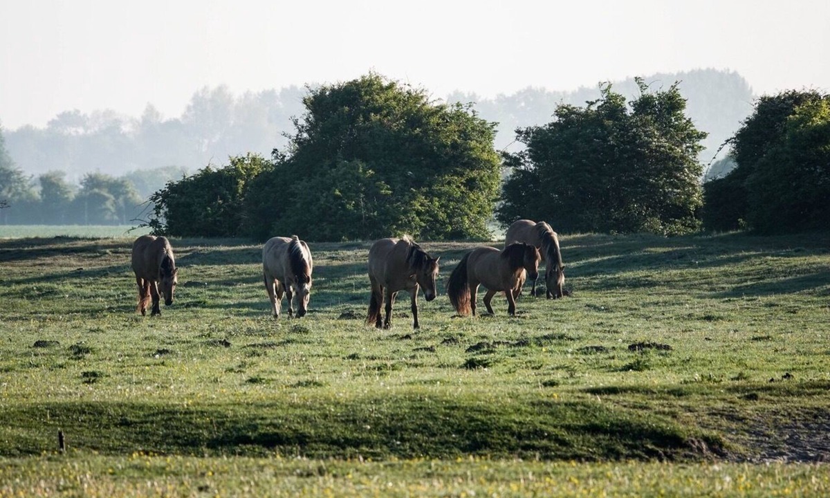 Le Crotoy RV Rental | Camping les 3 Sablières