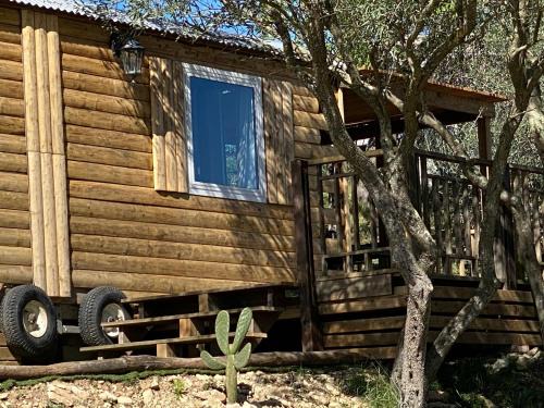 Castelnau-de-Guers Other | Camping Les Amandiers