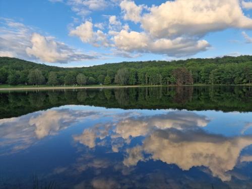 Lamongerie Other | Camping Montard