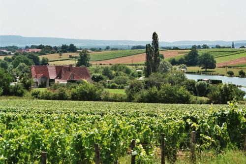 Saint-Boil Other | Camping Moulin de Collonge