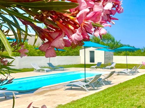 Ghisonaccia Ski Chalet | Campo Vecchio Mare et Piscine