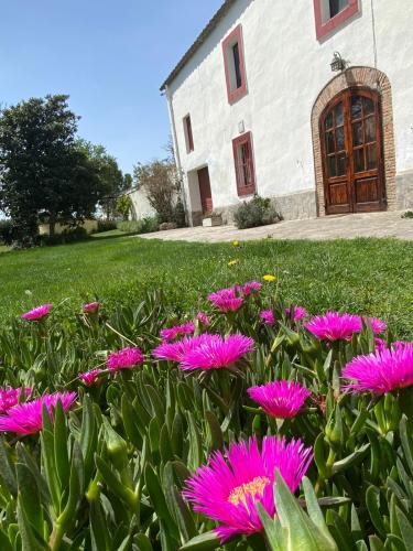 San Martin Sarroca House | Can Teulera