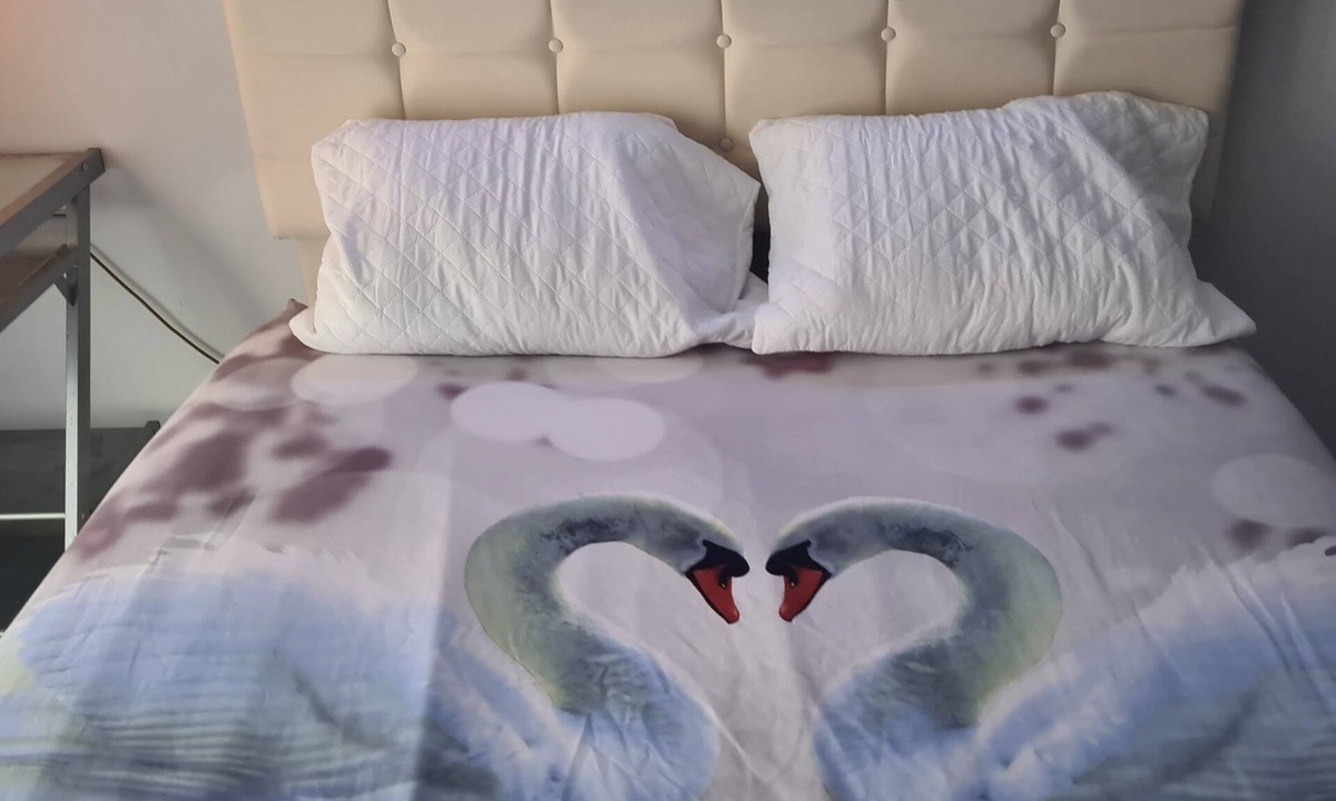 Carnot Apartment | Cannes carnot