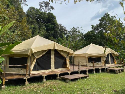 Janda Baik Other | Canopy Villa Glamping Park