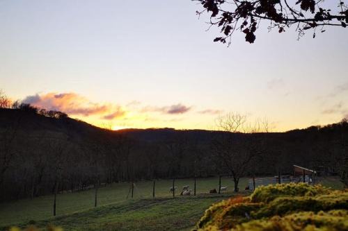 Caylus House | Canto perdigal