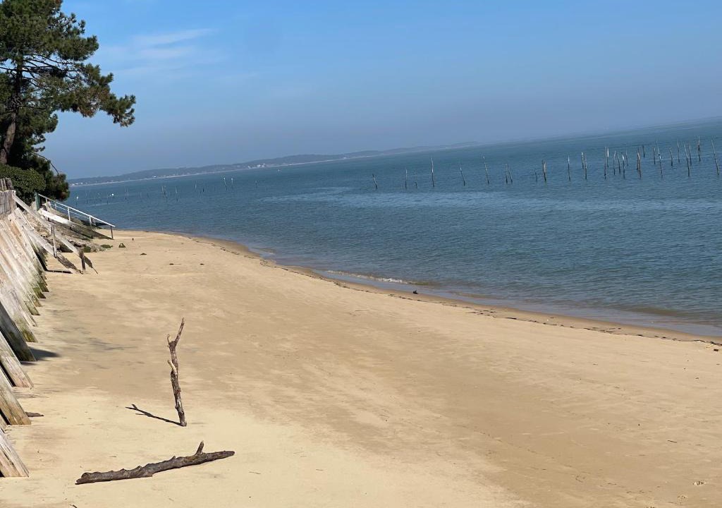 Lege-Cap-Ferret Villa | CAP FERRET 44 HA (ref 150)