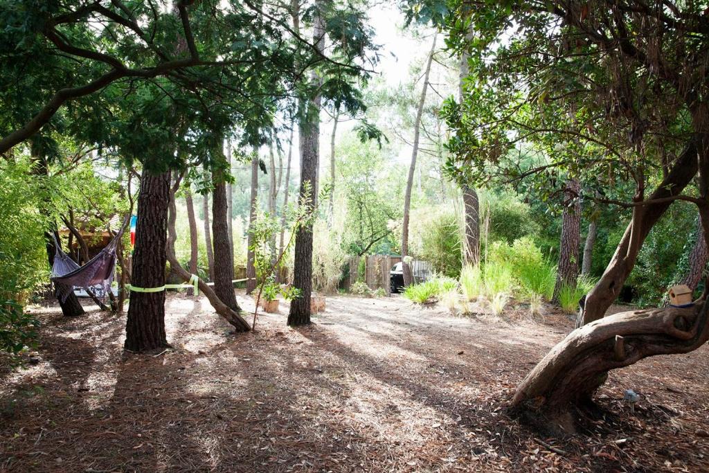 Lege-Cap-Ferret Villa | CAP-FERRET POINTE (Réf 170)