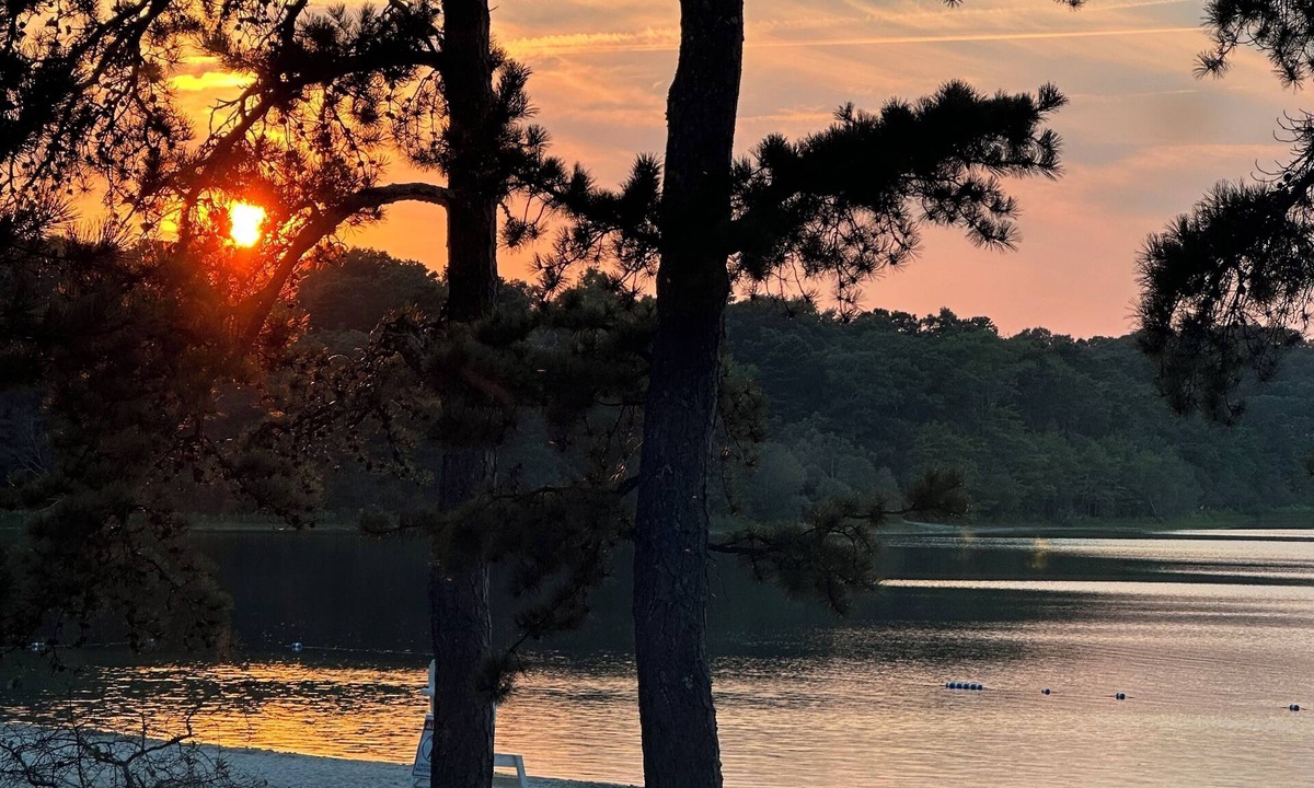 Forestdale House | Cape getaway