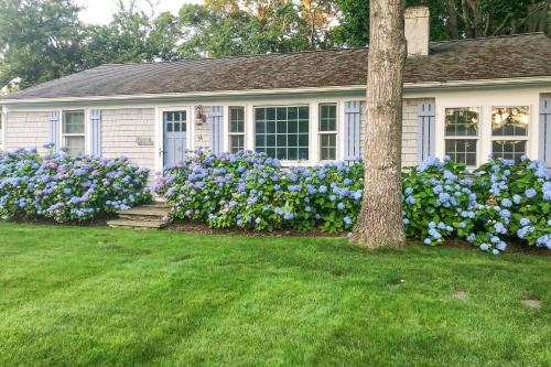 Bass River House | Cape Getaway