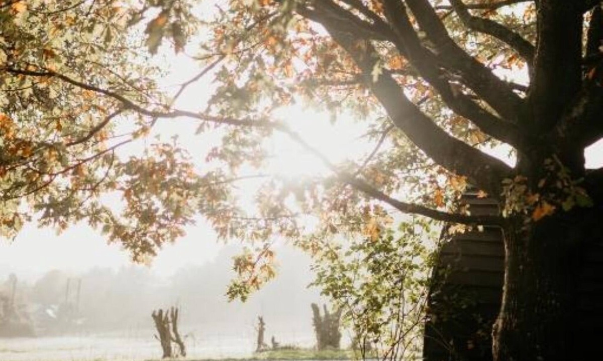 Woolhope House | Caplor Glamping and Lodges