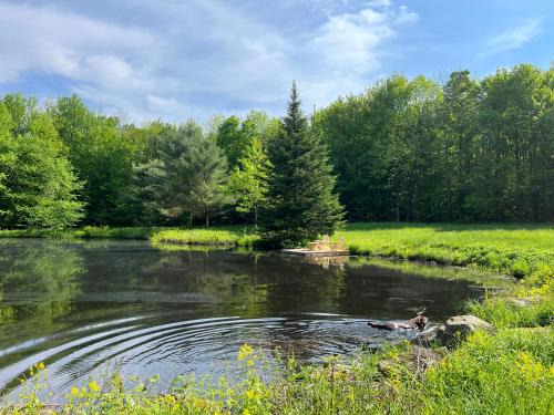 Bromont House | Capsule de Bonheur