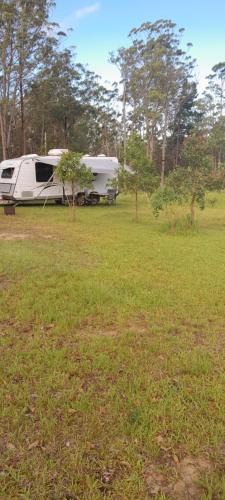 Cedar Party Other | Caravan Capers