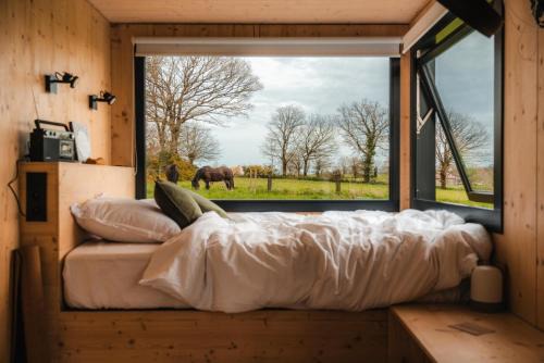 Lalleu Cabin | Carré d'Ach - Parcel Tiny House - Tiny House près de Rennes entourée par les chevaux MAE-7543